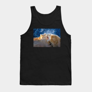 Lion Animal Wildlife Jungle Nature Safari Adventure Discovery Africa Digital Painting Tank Top